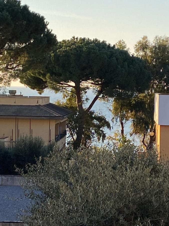 Appartamento In Zona Esclusiva A 50 Mt Dal Mare アレンツァーノ エクステリア 写真